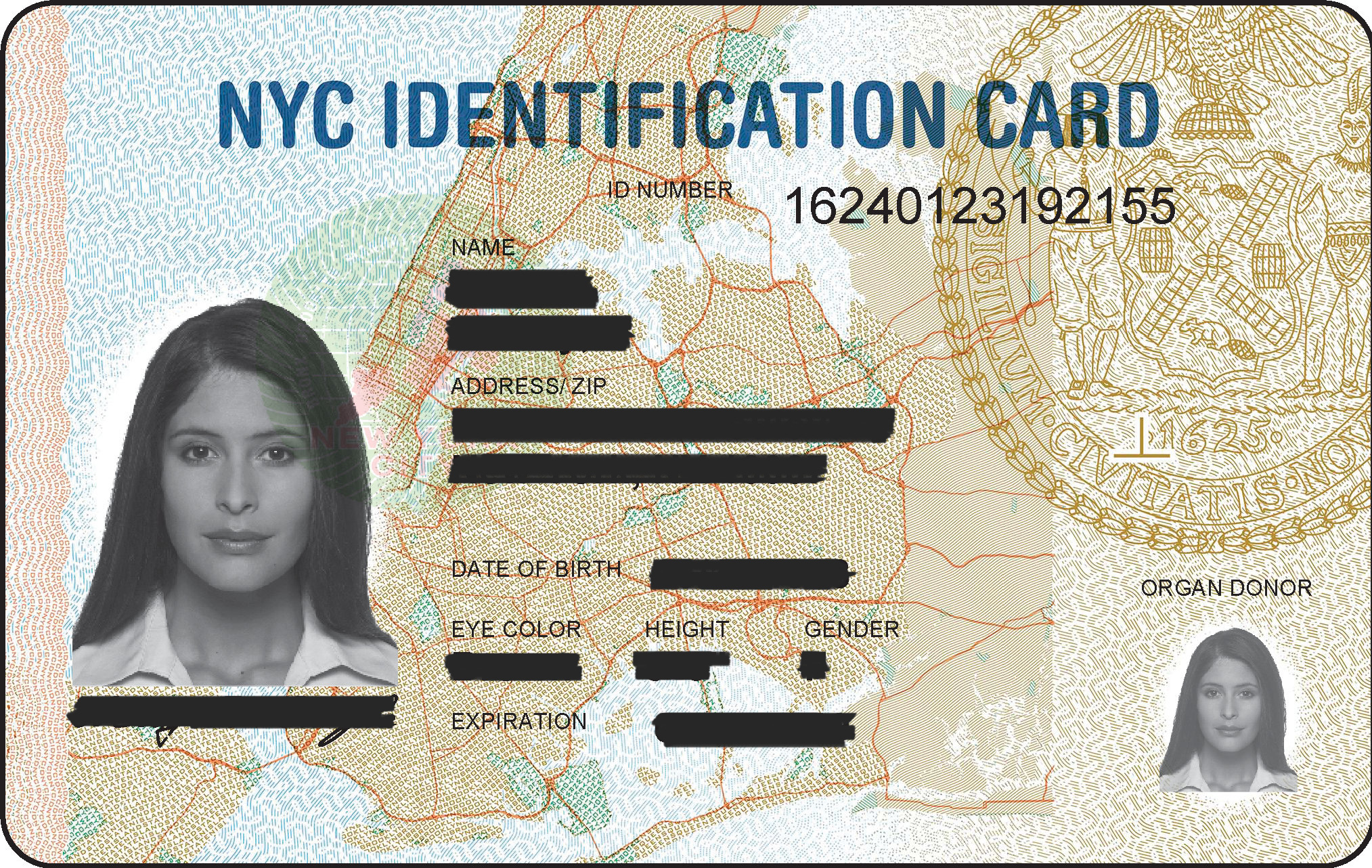how-to-get-a-new-photo-id-card-vrogue