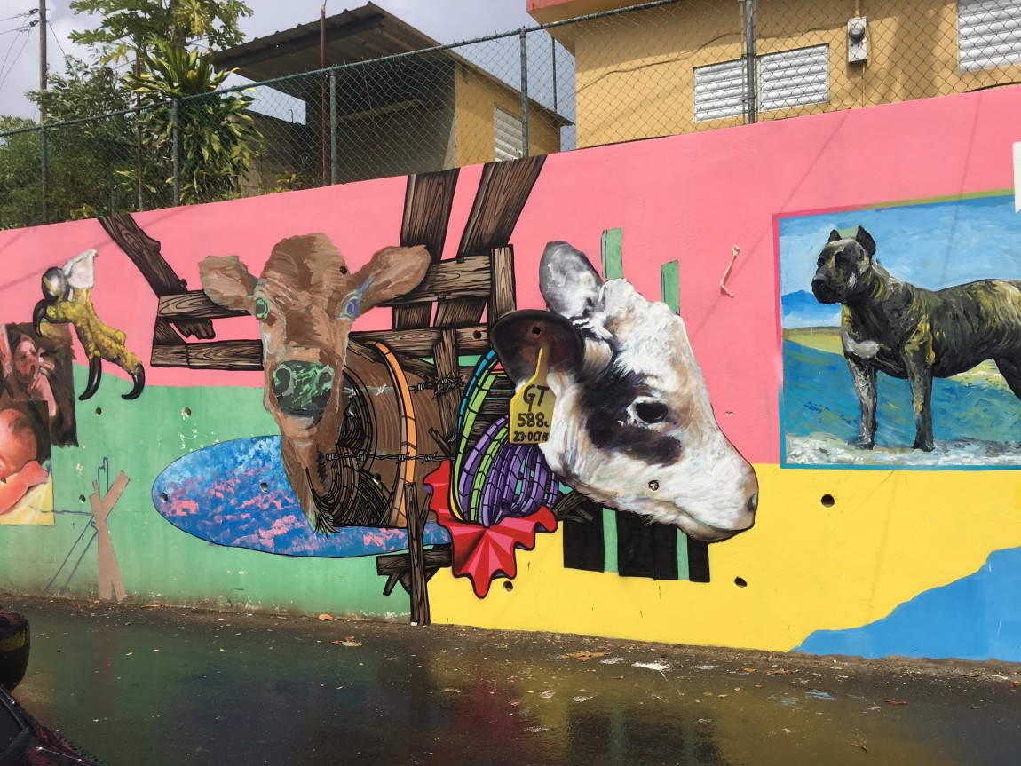 Color Libre Takes Street Art Beyond San Juan
