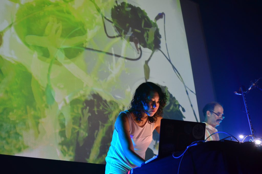 Interspecifics Makes Experimental Music From Slime Mold and NASA Data