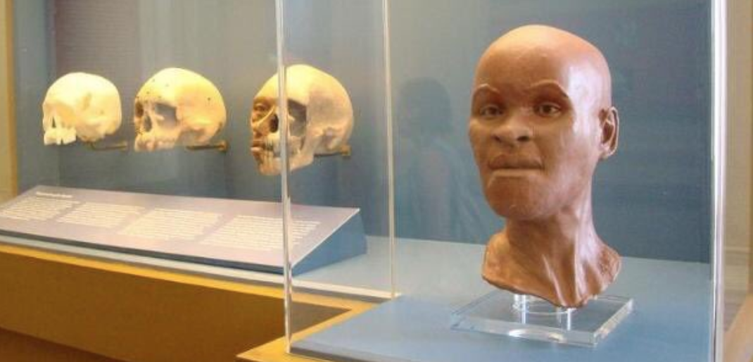 The Story Of Luzia The Oldest Human Skull Found In The Americas