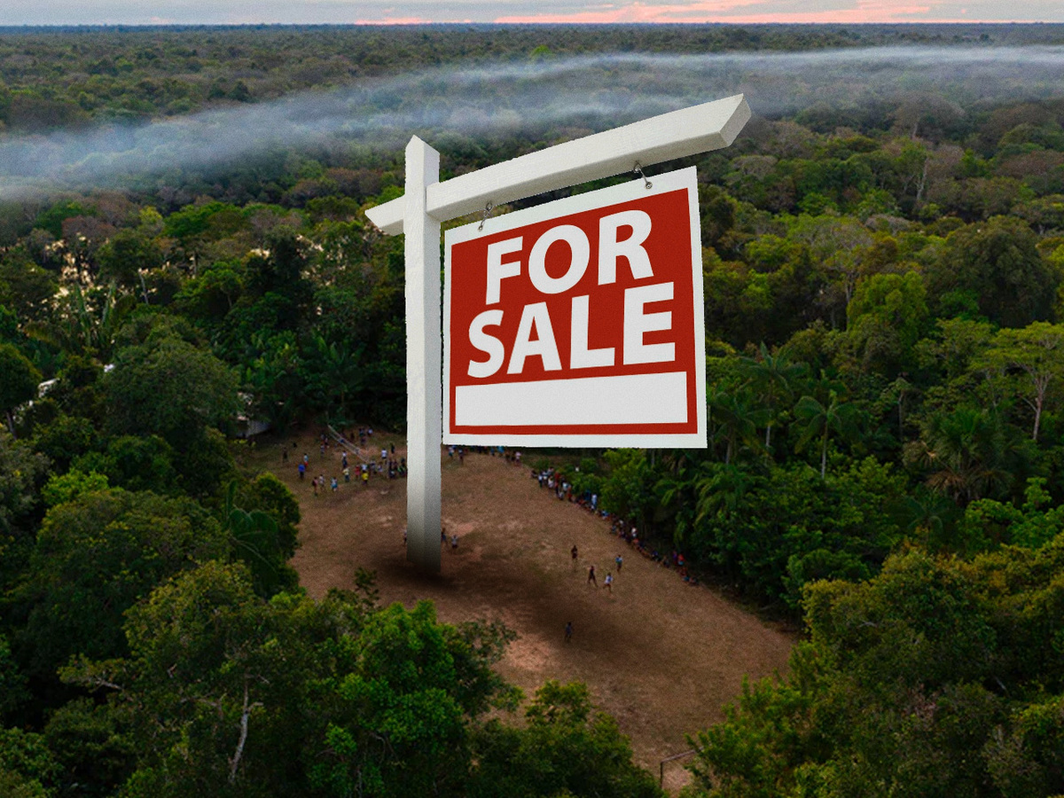 Facebook Marketplace Does Little To Stop The Sale Of Brazilian Amazon Rainforest