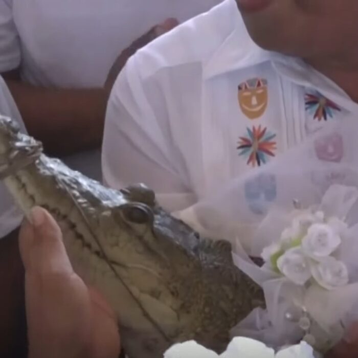 Mexican Mayor Marries Alligator But Its Not What You Think — We Explain 