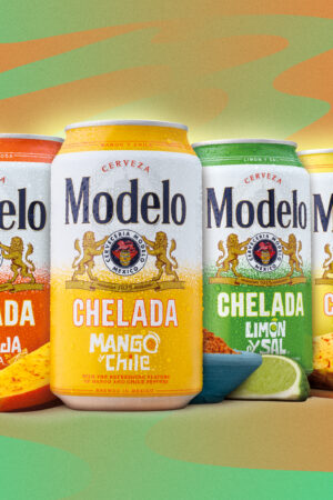 Modelo beer variety pack fruit flavors