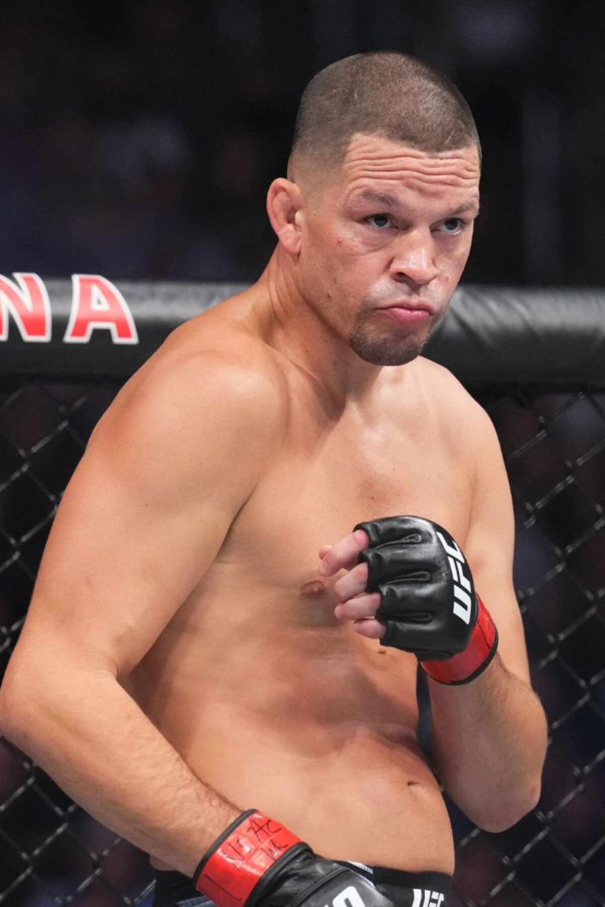 Former UFC Star Nate Diaz Set to Fight Jake Paul — Heres Everything We Know