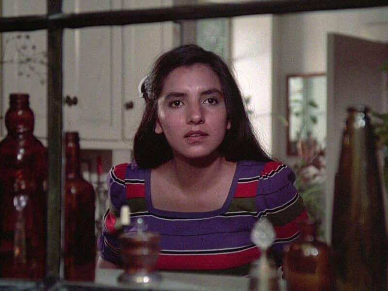 Zaide Silvia Gutiérrez in El Norte (1983)