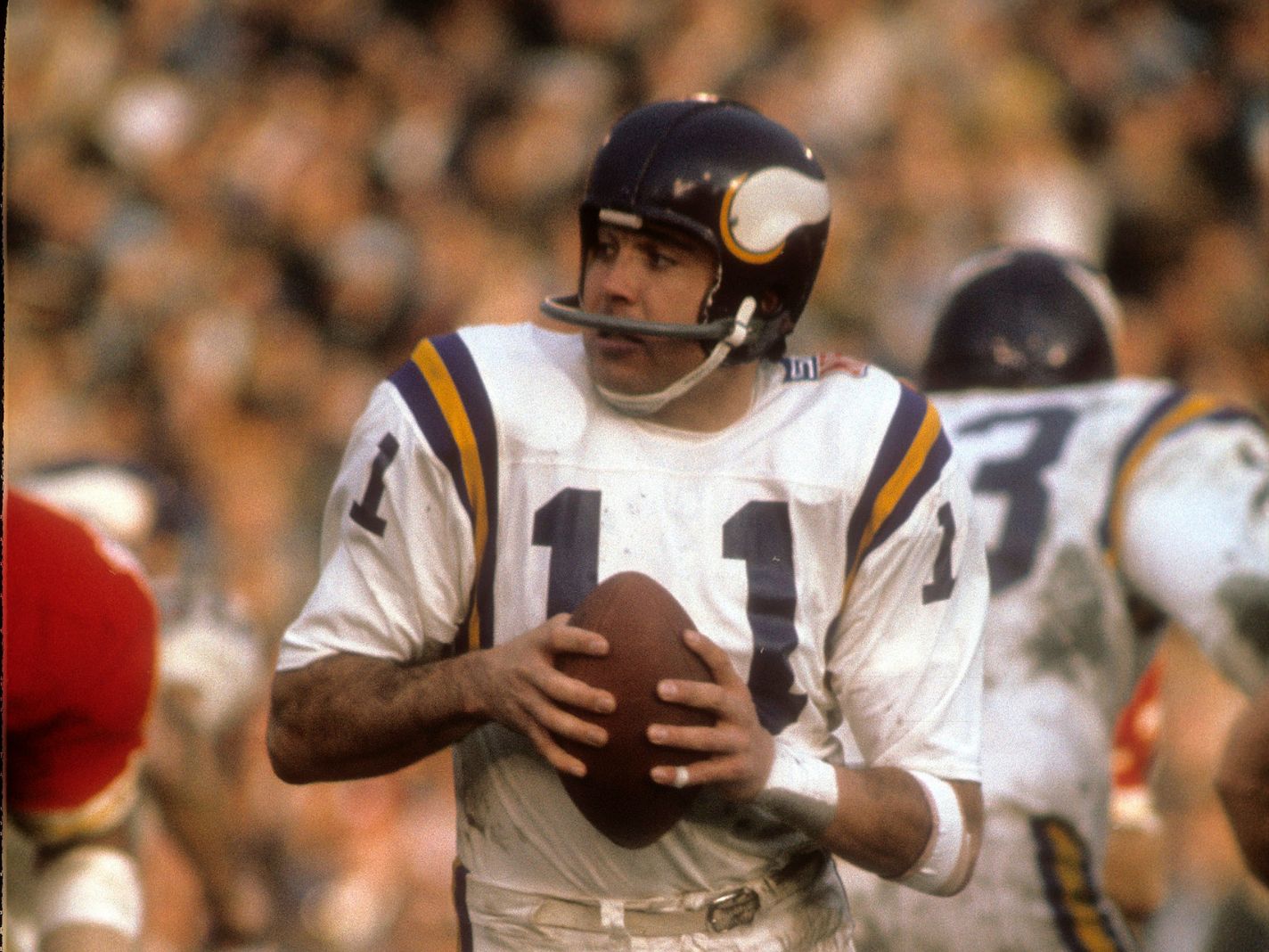 Legendary Minnesota Vikings QB Passes Away