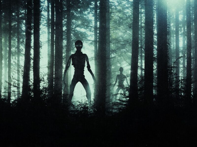 Horror, sci fi concept of aliens standing in a forest. Silhouetted by bright UFO lights at night