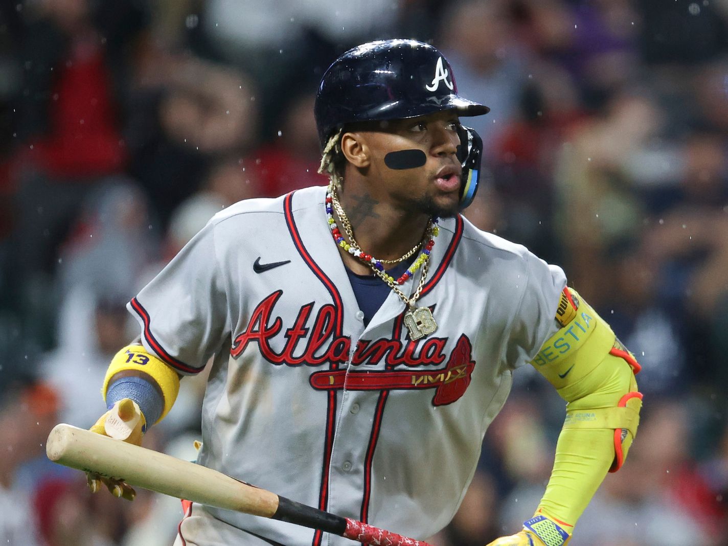 Multiple Fans Rush Field and Make Contact With Braves' Ronald