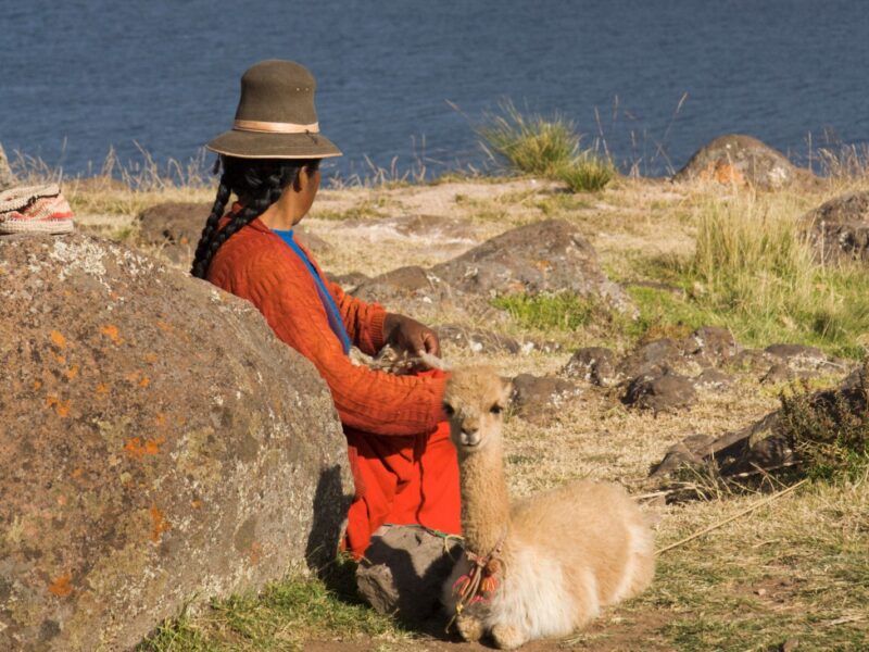Subject: A Peruvian woman spinning the wool of a baby Vicuna, a South American camelid in the family of a Llama, produces one of the finest wool in the world