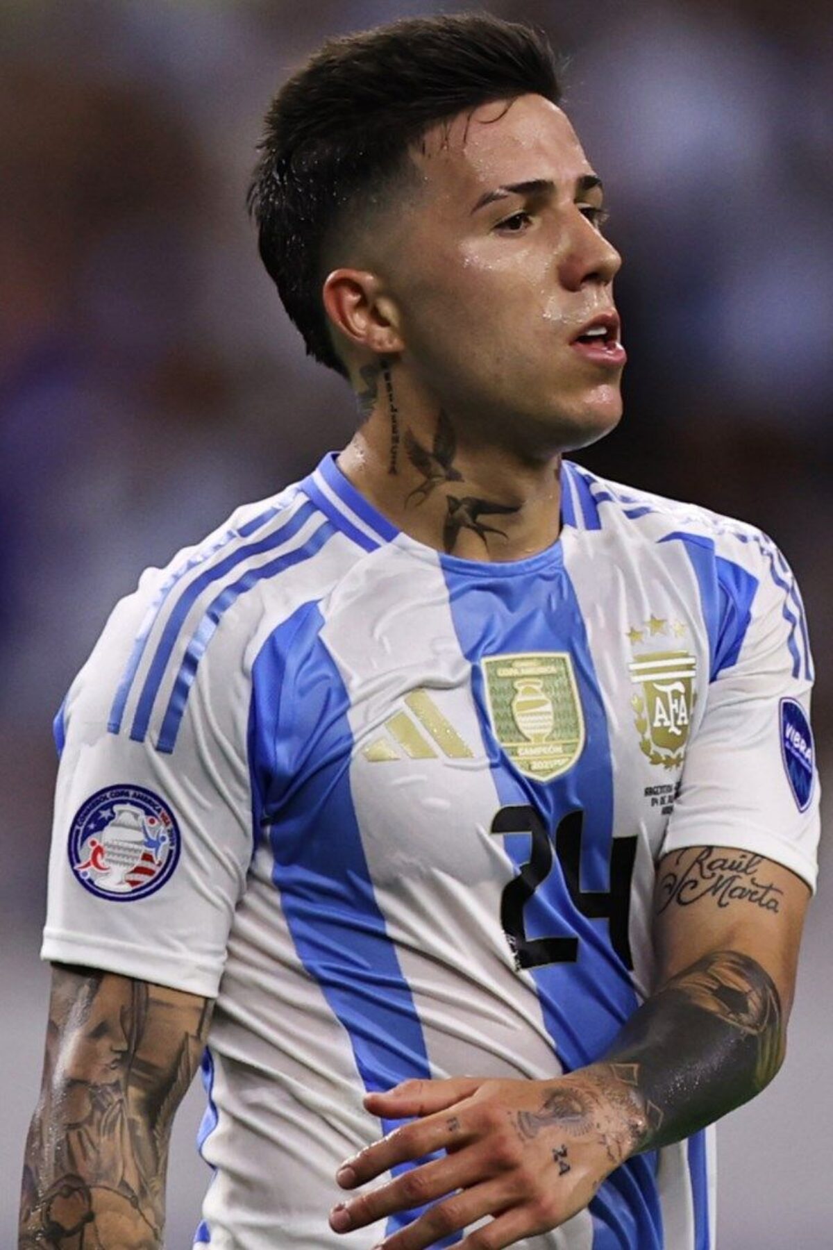 Argentina player Enzo Fernandez