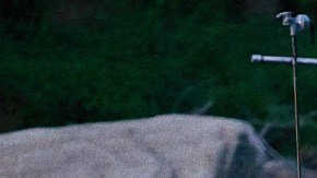 Photo by GettyImages