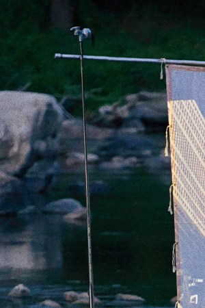 Photo by GettyImages