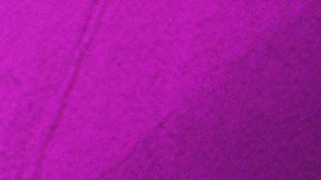 Art by Stephany Torres for Remezcla