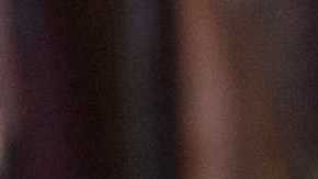 Luis Guzman cover image crop