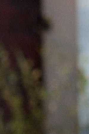 Luis Guzman cover image crop