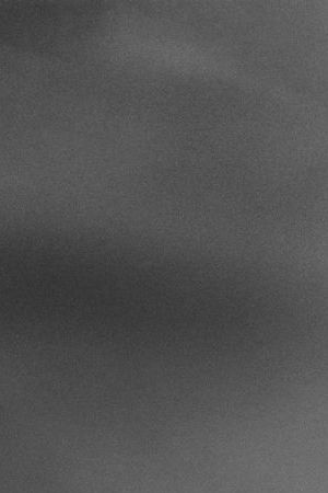 sebastian salgao - genesis