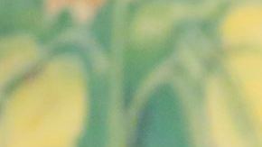 Cristela 2 pink sweater big