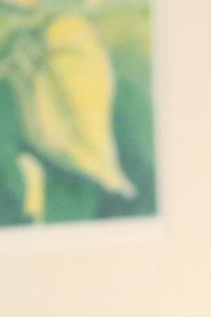 Cristela 2 pink sweater big