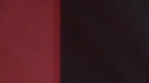 Cafe Tacvba. Photo by Kevin Winter/Getty Images for NCLR