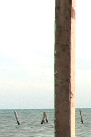 Alamar Jorge_Machado_and_Natan_Machado_Palombini_LS