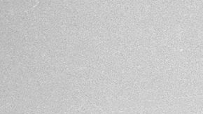 United Farm Workers leaders Cesar Chavez and Larry Itliong. Photo: AP/Harold Filan