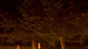 dia_de_los_muertos_MG_8186