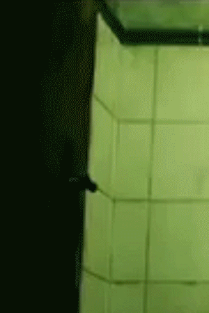 Witching & Bitching Las brujas de Zugarramurdi gif