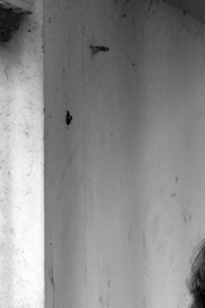 1104 Music Lorelle meets The Obsolete Header