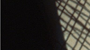 lisa leone photography