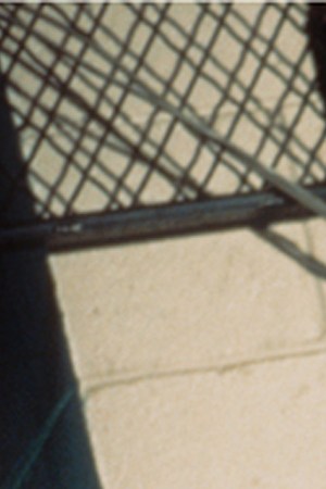 lisa leone photography