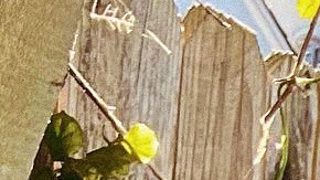 Photo by @Paquiliztli