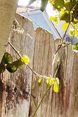 Photo by @Paquiliztli