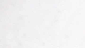 1204 Music Mare Advertencia Lirika