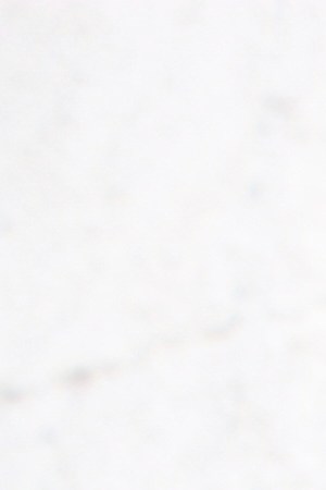 1204 Music Mare Advertencia Lirika