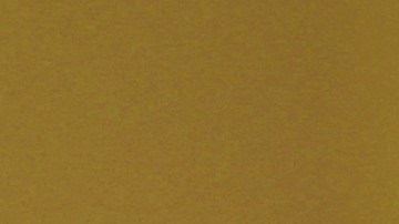 Courtesy of the Mala Mala