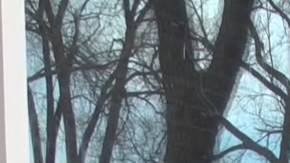 Rodrigo Reyes. Photo courtesy of the director