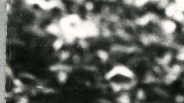 chespirito black and white