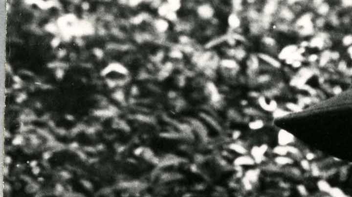 chespirito black and white