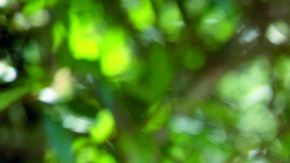 Pedro Pascal in Game of Thrones