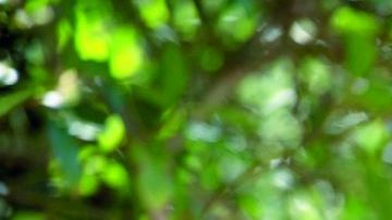 Pedro Pascal in Game of Thrones