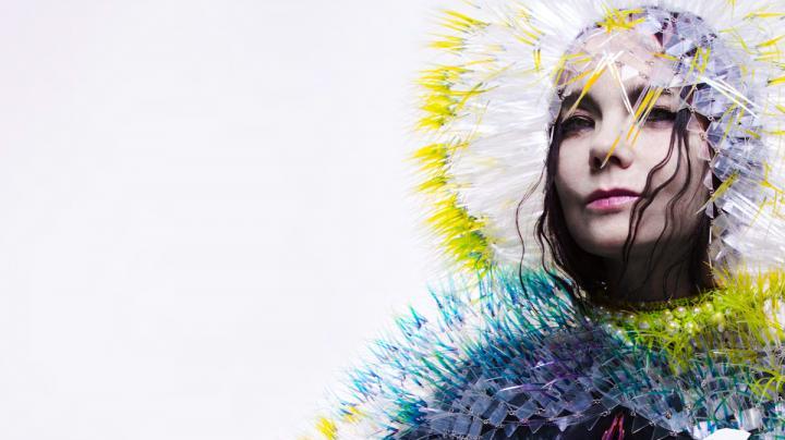 bjork_vulnicura_alt