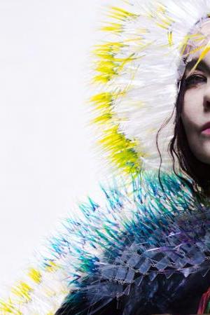 bjork_vulnicura_alt