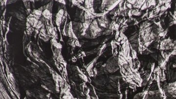 Image: Quisqueya Hernandez