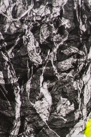 Image: Quisqueya Hernandez