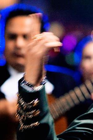 dieses-schoene-scheissleben que caramba es la vida 04