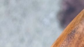 guerrillatacos_plate.0