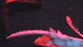 Kurt Cobain and Dave Grohl of Nirvana during MTV Live and Loud: Nirvana Performs Live - December 1993 at Pier 28 in Seattle, Washington, United States. Photo by Jeff Kravitz/FilmMagic, Inc