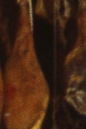 Javier Bardem Bigas Luna Jamon Jamon crop