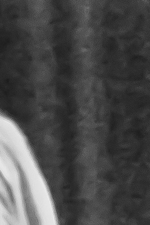 Aaron Rogosin/Red Bull Content Pool