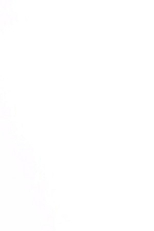 Photo: Itzel Alejandra Martinez